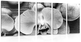 Εικόνα 5 μερών μιας όμορφης ορχιδέας και πέτρες σε μαύρο & άσπρο