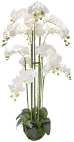 Τεχνητό Φυτό Ορχιδέα 04-00-94371-1 135cm Green-White Marhome Πλαστικό, Ύφασμα