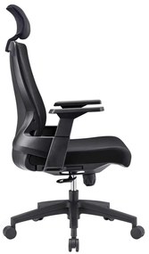 Πολυθρόνα Γραφείου Bf8900 Διευθυντή Mesh - Ύφασμα Μαύρο . Διάσταση: 64x66x116/128cm