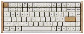Wireless Keyboard Keychron K2 HE RGB Nebula Magnetic Switch (white) &#91;K2H-Q1&#93;