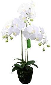 Supergreens Τεχνητό Φυτό Ορχιδέα Phalaenopsis Λευκό 80 εκ. - 6301-6