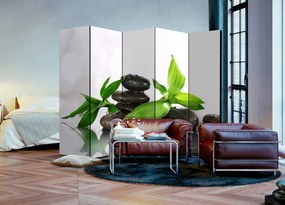 Διαχωριστικό με 5 τμήματα - Peaceful Harmony II [Room Dividers] 225x172