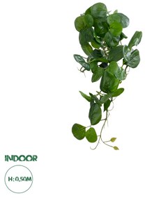 GloboStar® Artificial Garden HANGING PEPEROMIA 20599 Τεχνητό Διακοσμητικό Κρεμαστό Φυτό Πεπερόμια Μ30 x Π31 x Υ50cm