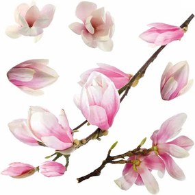 Αυτοκόλλητα Παραθύρου Διπλής Όψης Ango Magnolia 64006