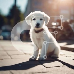 Intra Συλλεκτικό Ξύλινο Παζλ Plywood 4mm - Ήρεμο και χαλαρό μικρό λευκό σκυλί στο πεζοδρόμιο Σε Ξύλινο Κουτί - Διαστάσεις: 10x10 cm – 25 κομμάτια