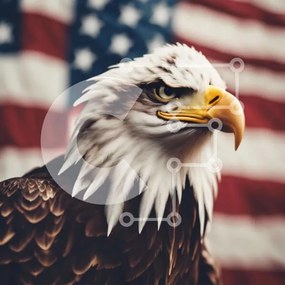 Intra Συλλεκτικό Ξύλινο Παζλ Plywood 4mm - Αετός με αμερικανική σημαία Σε Ξύλινο Κουτί - Διαστάσεις: 10x10 cm – 25 κομμάτια