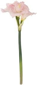 Τεχνητό Λουλούδι Kaffir Lily 21390 58cm Pink-Green GloboStar Πολυαιθυλένιο