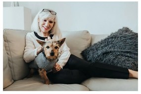 Πουλόβερ Σκύλου Hunter Malmö