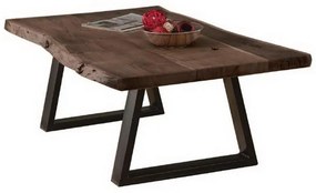 Τραπεζάκι Σαλονιού Lizard ΕΑ7101,1 115x65x40cm Black-Walnut Metal,Wood