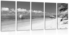 Εικόνα 5 μερών παραλία Anse Source σε ασπρόμαυρο - 200x100