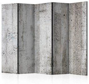 Διαχωριστικό με 5 τμήματα - Grey Emperor II [Room Dividers] 225x172