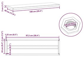 Ράφια Τοίχου 2Τεμ. Ασημί 100x30x3 εκ. Ανοξείδωτο Ατσάλι - Ασήμι