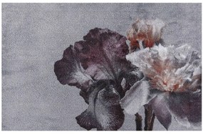 Πατάκι Εισόδου Soft &amp; Deco 910 Wild Flower 67X100cm Grey -Red Sdim 67X100