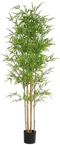 Bamboo  NP6321  ύψος 180cm