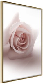 Αφίσα - Subtle Flower - 30x45 - Χρυσό - Χωρίς πασπαρτού