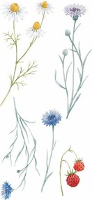 Αυτοκόλλητα Τοίχου Ango Field Flowers 59178