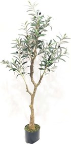 Τεχνητό Δέντρο Ελιά Costaoliva 6990-6 120cm Green Supergreens Polyethylene,Fabric