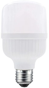 Λαμπτήρας Led P7013CW E27 13W 6000K 1380lm White Aca