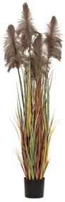 Φυτό Pampas 85071 20x180cm Brown-Green Πλαστικό