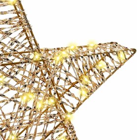 vidaXL 3D Αστέρι με 50 LED Θερμό λευκό 55 x 52.5 x 9 εκ PET