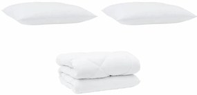 vidaXL Χειμερινό Παπλωματοθήκη 3 pcs Λευκό 240 x 260 εκ. Μικροΐνες