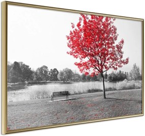 Αφίσα - Autumn Colours I - 30x20 - Χρυσό - Χωρίς πασπαρτού