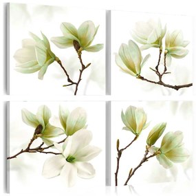 Πίνακας - Admiration of Magnolia 80x80