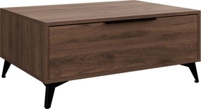 Τραπεζάκι Σαλονιού Xylix