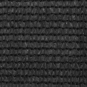 vidaXL Διαχωριστικό Βεράντας Ανθρακί 120 x 300 εκ. από HDPE
