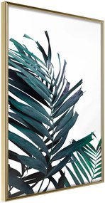 Αφίσα - Evergreen Palm Leaves - 30x45 - Χρυσό - Χωρίς πασπαρτού