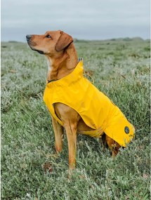 Παλτό Σκύλου Hunter Milford Κίτρινο 40 cm