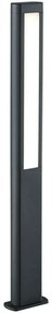 Φωτιστικό Δαπέδου Rhine 421660242 2x5,5W Led 7x15x100cm Anthracite Trio Lighting