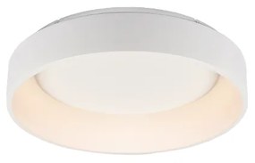 ΦΩΤΙΣΤΙΚΟ ΟΡΟΦΗΣ LED ΛΕΥΚΟ ΜΕΤΑΛΛΙΚΟAPOLLO BR81LEDC45WH