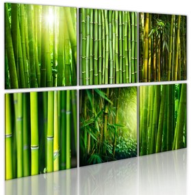 Πίνακας - Bamboo has many faces 60x40