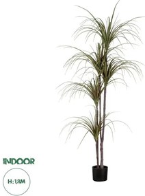 Artificial Garden DRAGON BLOOD TREE 20016 Τεχνητό Διακοσμητικό Φυτό Δράκαινα Υ180cm Globostar-20016-Πράσινο 20016