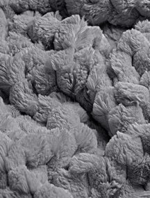 Ριχτάρι MAISONY GREY ριχτάρι-πολύθρονας-180-x-180-εκ