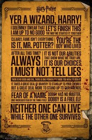 Αφίσα Harry Potter - Quotes, (61 x 91.5 cm)