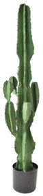 CANDELABRA CACTUS ΤΕΧΝΗΤΟ ΦΥΤΟ ΚΑΚΤΟΣ ΣΕ ΓΛΑΣΤΡΑ PU ΠΡΑΣΙΝΟ H120cm