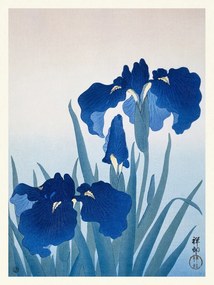 Εκτύπωση έργου τέχνης Blue Iris Flowers (Japandi Vintage) - Ohara Koson, (30 x 40 cm)