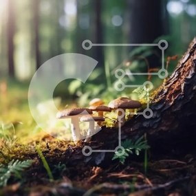Intra Συλλεκτικό Ξύλινο Παζλ Plywood  4mm - Όμορφη εικόνα των μανιταριών σε ένα δάσος Σε Ξύλινο Κουτί - Διαστάσεις: 10x10 cm – 25 κομμάτια