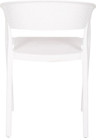 ΠΟΛΥΘΡΟΝΑ ΠΟΛΥΠΡΟΠΥΛΕΝΙΟΥ PERFOE HM5941.01 ΛΕΥΚΗ 56x50x73Υεκ.