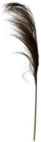 Διακοσμητικό φυτό Pampas Inart rayung 145εκ 335-000016-335-000016-Καφέ 335-000016