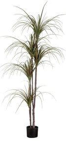 GloboStar® Artificial Garden DRAGON BLOOD TREE 20016 Τεχνητό Διακοσμητικό Φυτό Δράκαινα Υ180cm