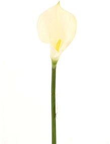Τεχνητό Κλωνάρι Κάλλα 2030-7 96cm White Supergreeens Polyethylene