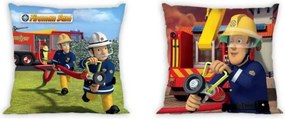 ΜΑΞΙΛΑΡΑΚΙΑ Disney SAM 53 40X40 Digital Print Microfiber