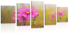 Εικόνα 5 μερών ενός ανθισμένου ροζ λουλουδιού