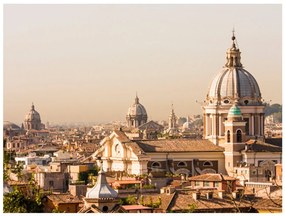 Φωτοταπετσαρία - Rome - bird's eye view 350x270