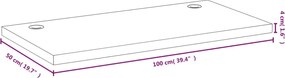 vidaXL Επιφάνεια Γραφείου 100 x 50 x 4 εκ. από Μπαμπού