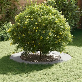 vidaXL κατάλληλο για δαχτυλίδι επίπεδου δέντρου Λευκό Ø60 / 90 εκ.