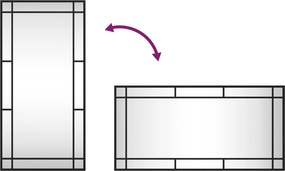vidaXL Καθρέφτης Ορθογώνιος Μαύρος 40 x 80 εκ. από Σίδερο